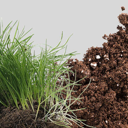 rasenerde bubblenavibild